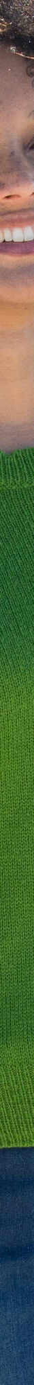 Pull col rond finitions écailles (vert) Pull col rond finitions écailles (vert)